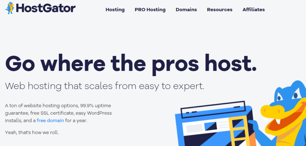 HostGator – Beginner-Friendly and Wallet-Friendly Hosting