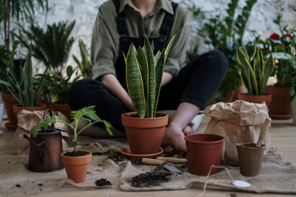 photo of person sitting near potted plants
