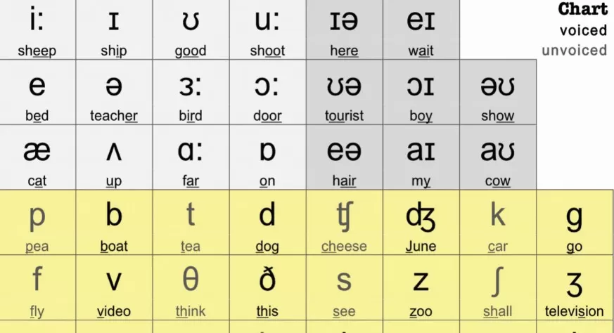 IPA symbols for phonetic transcription