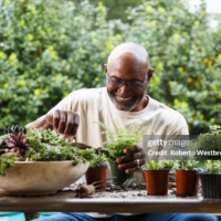 liste passions hobbies pour hommes - pic: homme qui fait le jardinage