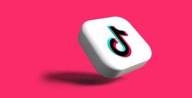 fastmoss black friday deal